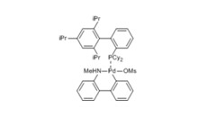 甲磺酸(2-二環己基膦-2’,4’,6’-三異丙基-1,1’-聯苯基)(2’-甲氨-1,1’-聯苯-2-基)钯(II  XPhos Pd G4